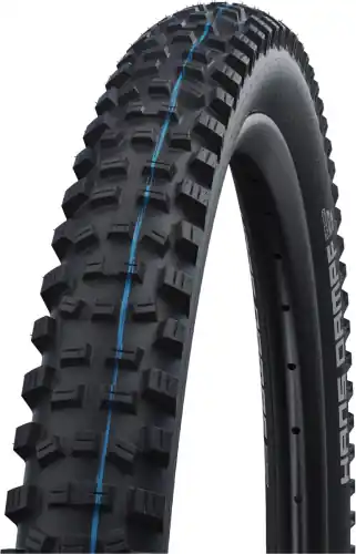 Gyors szállítás Schwalbe Hans Dampf EvolutionLine HS491 SuperTrail TubelessEasy Addix SpeedGrip SnakeSkin Külsőgumi - fekete
